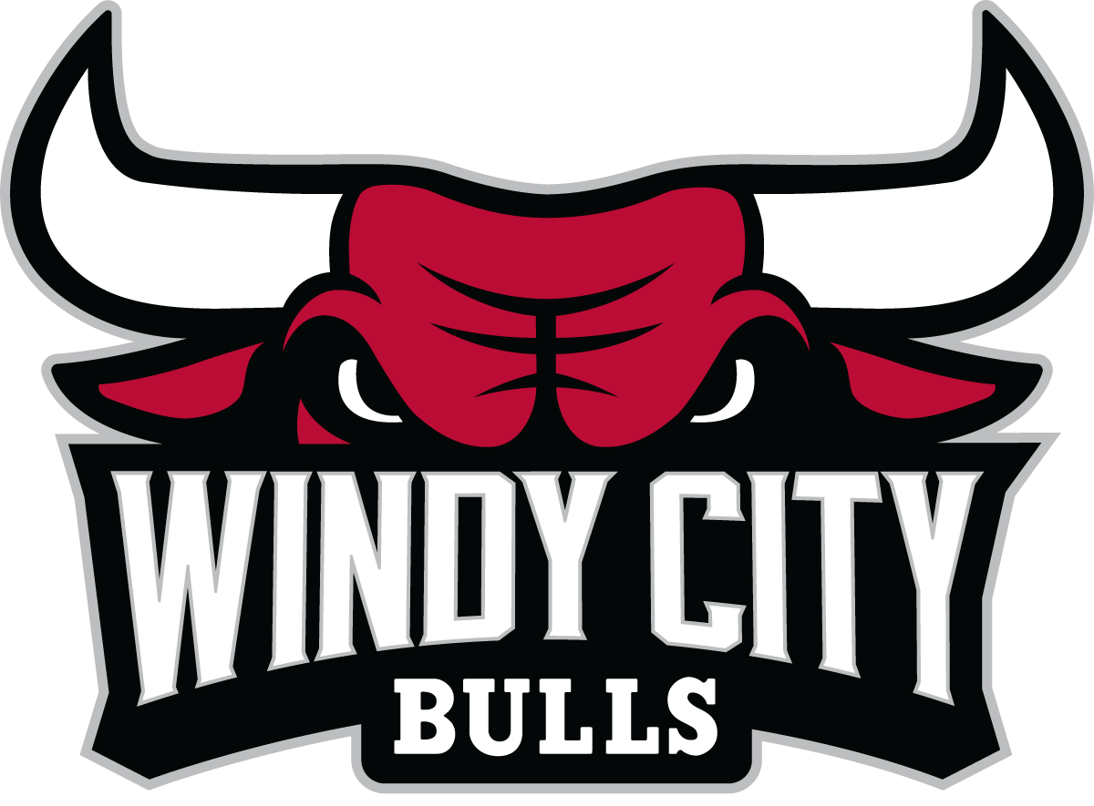 Windy City Bulls 2016-Pres Primary Logo iron on transfers for T-shirts
